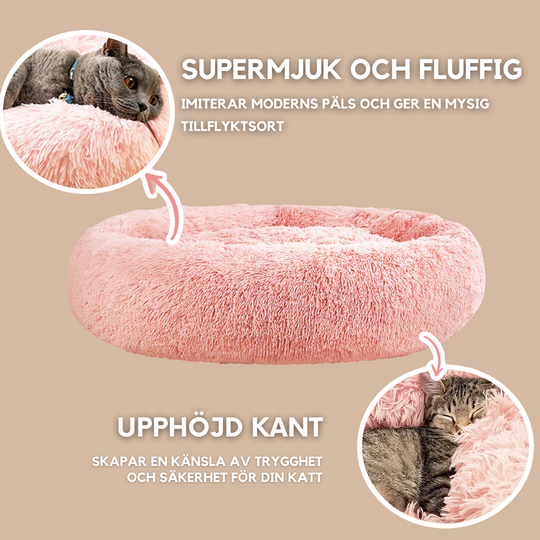 Luxury Bed for Cats - Original Design for Your Cat