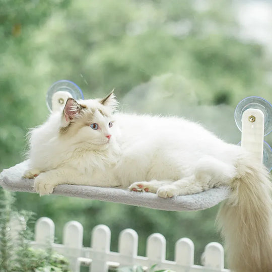 KittySeat™️ | Comfortable Perch for Cats - Perfect for Watching through the Window