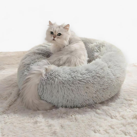 Luxury Bed for Cats - Original Design for Your Cat