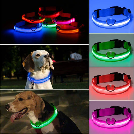 PawSecure - Bright Collar | Pet Collar - Visible and Secure