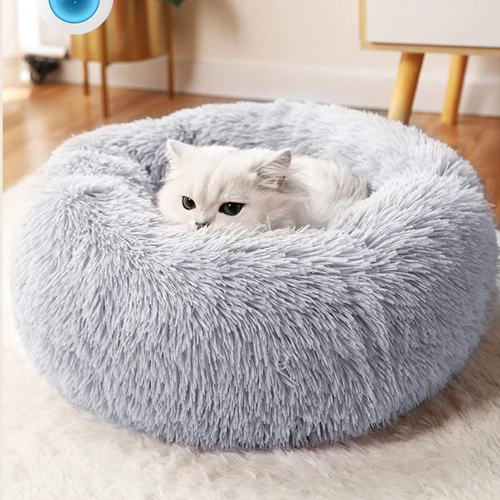 Luxury Bed for Cats - Original Design for Your Cat