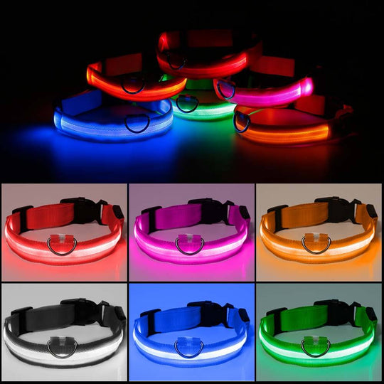 PawSecure - Bright Collar | Pet Collar - Visible and Secure