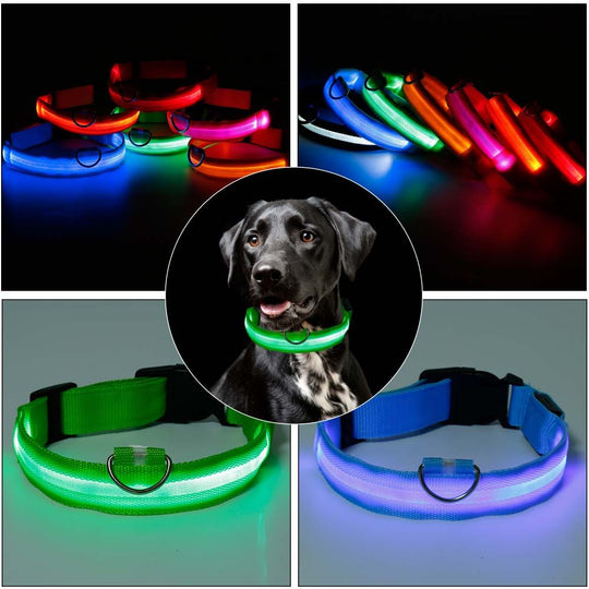 PawSecure - Bright Collar | Pet Collar - Visible and Secure