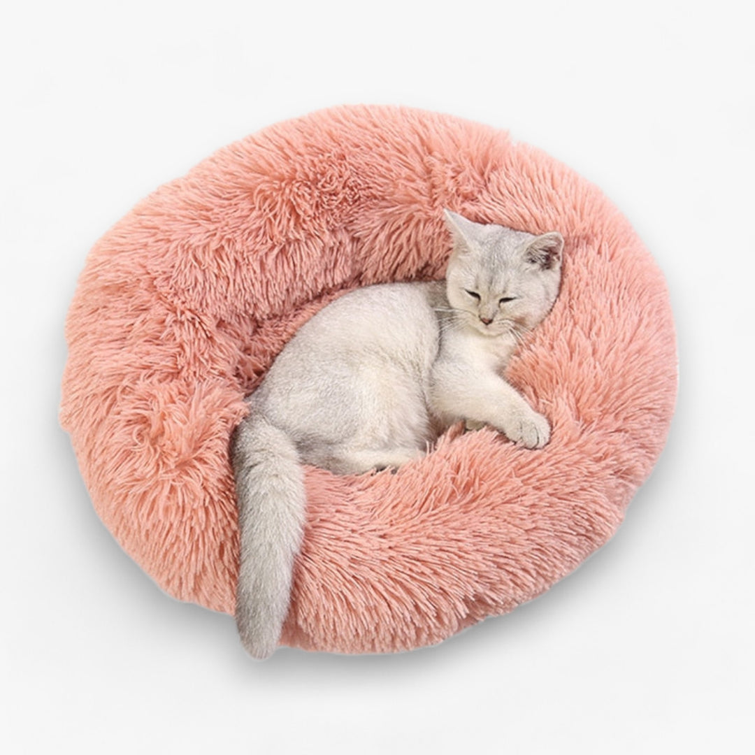 Luxury Bed for Cats - Original Design for Your Cat