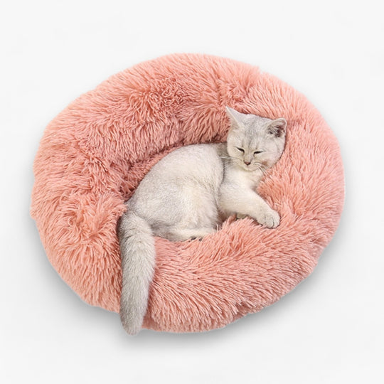 Luxury Bed for Cats - Original Design for Your Cat