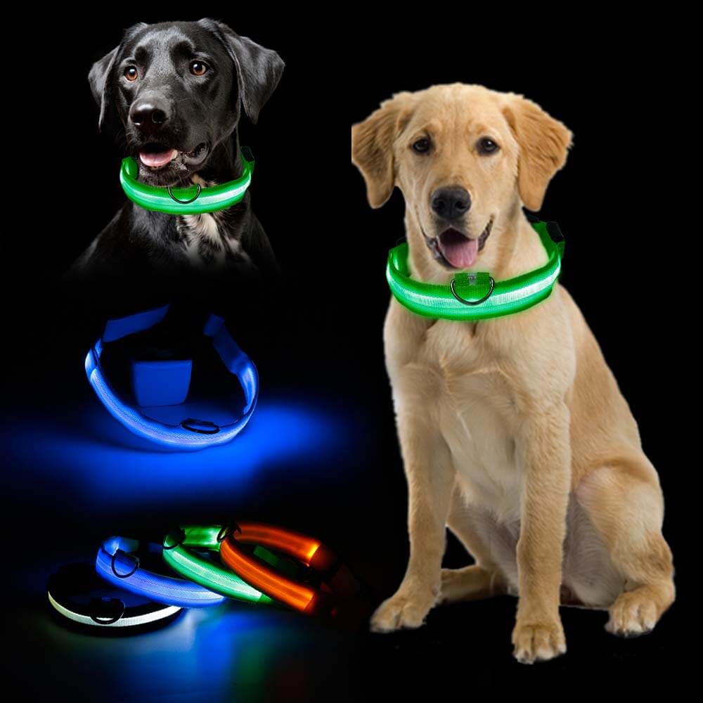 PawSecure - Bright Collar | Pet Collar - Visible and Secure