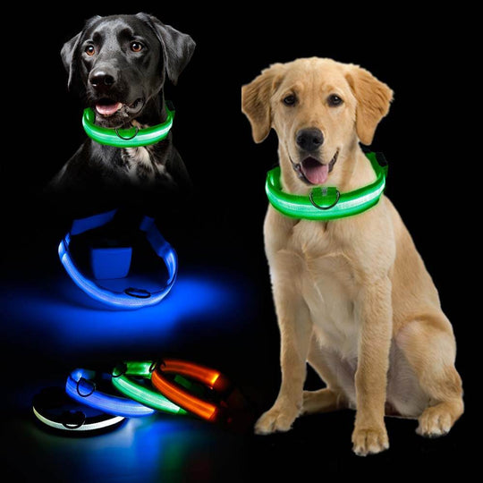 PawSecure - Bright Collar | Pet Collar - Visible and Secure