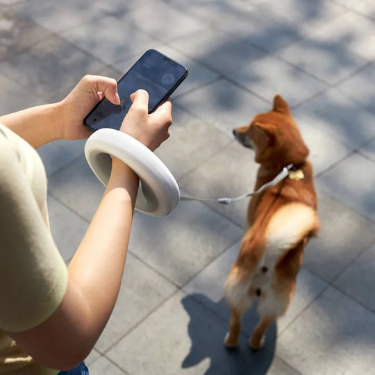 Rocky | Adjustable Smart Leash - An Enhanced Walking Experience for Dogs