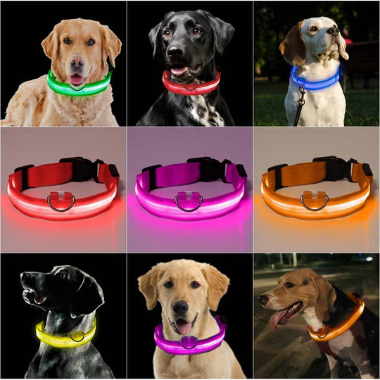 PawSecure - Bright Collar | Pet Collar - Visible and Secure