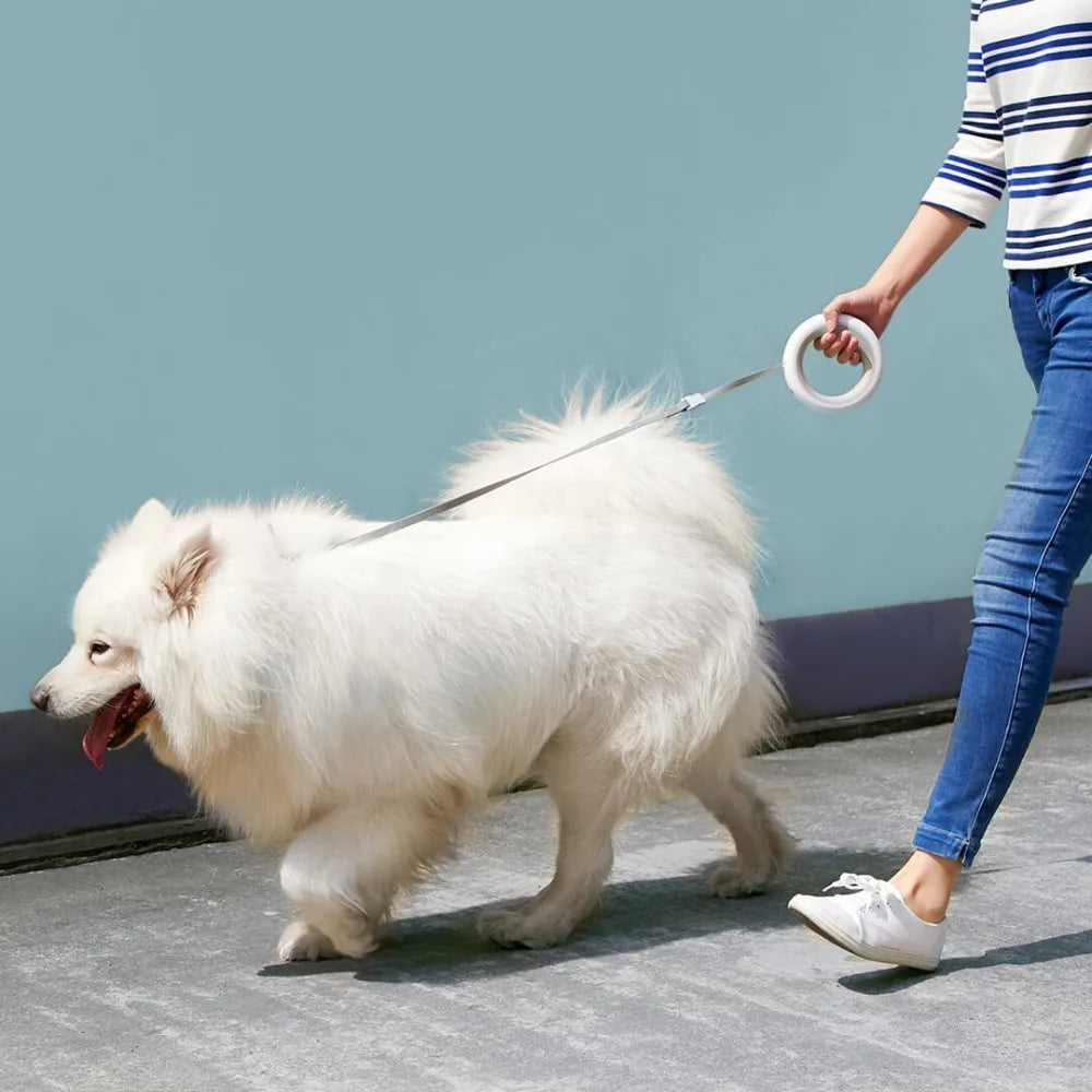 Rocky | Adjustable Smart Leash - An Enhanced Walking Experience for Dogs