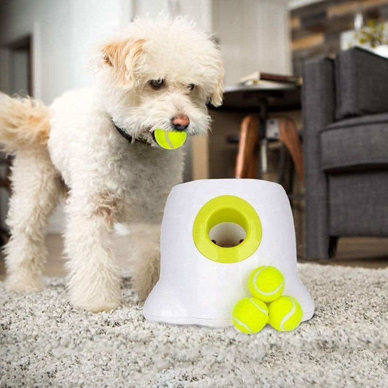 Furrlay™ | Automatic Tennis Ball Launcher - Endless Fun for Your Dog