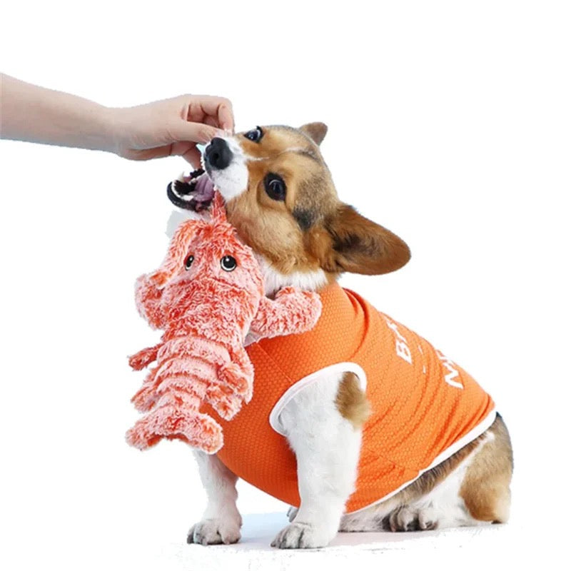 Wiggly Lobster - Dog Toy | Pet Toy - Fun and Stimulating