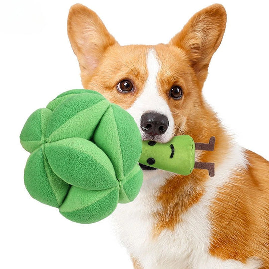 Sniffable Broccoli - Interactive Treat Toy | Toy for Animals - Game Stimulator