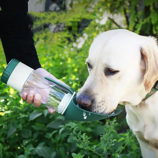 Dog Bottle - Hydration and Practical Treats