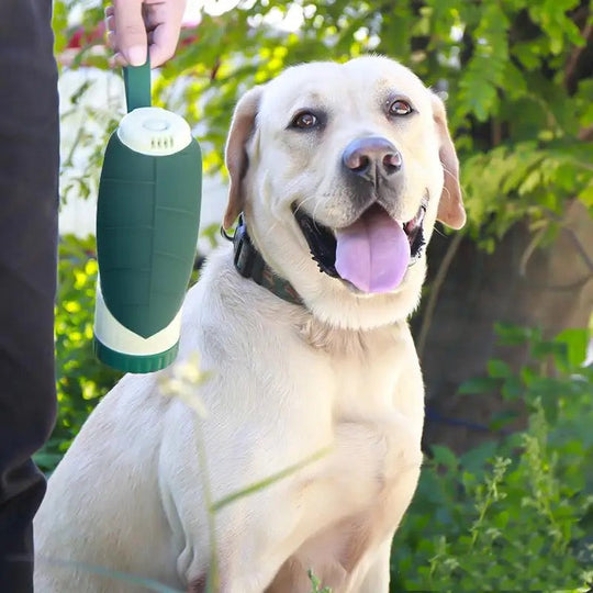 Dog Bottle - Hydration and Practical Treats