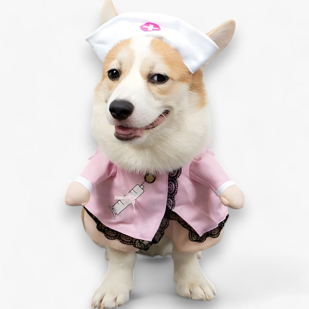 Paw-some | Pet Costume - Pet Cosplay Costume