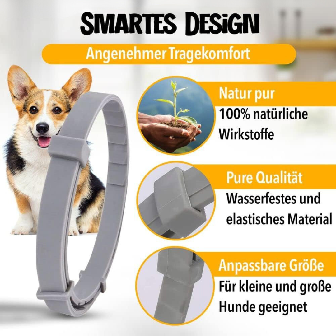 NaturaGuard - Anti-Flea and Anti-Lice Collar | Pet Collar - Effective Parasite Control