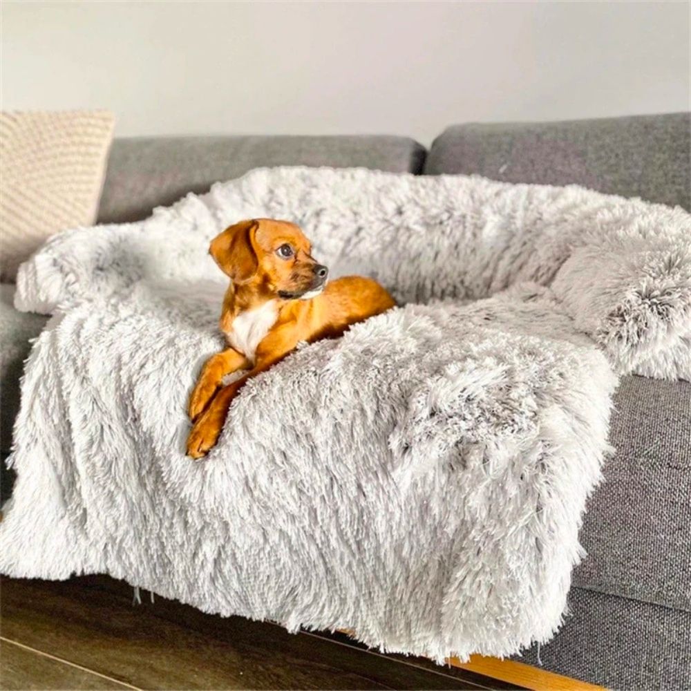 PurrPad - Cozy Dog Bed for Your Sofa | Comfortable and Soft