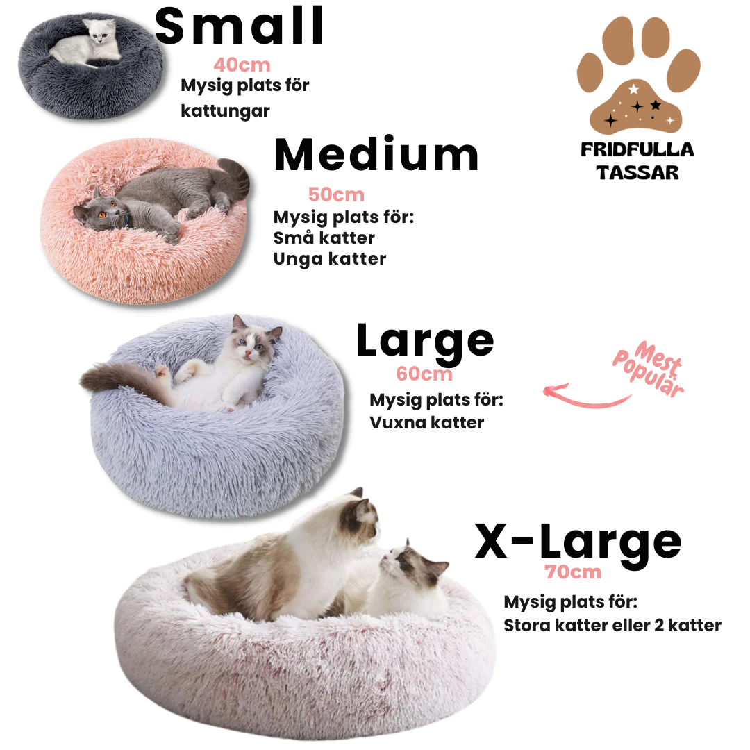 Luxury Bed for Cats - Original Design for Your Cat