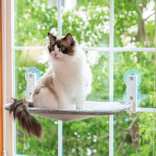 KittySeat™️ | Comfortable Perch for Cats - Perfect for Watching through the Window