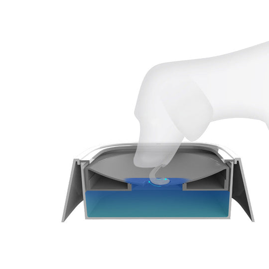 LimeFox | Splash-proof water bowl - Splash-free hydration