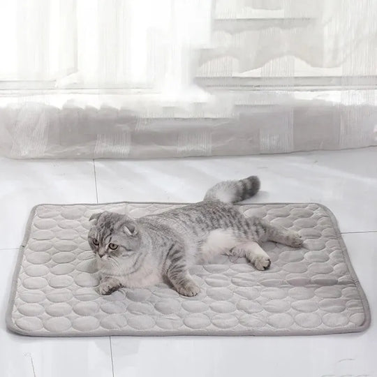 Avkylande Cat Mat for Comfort and Relaxation!