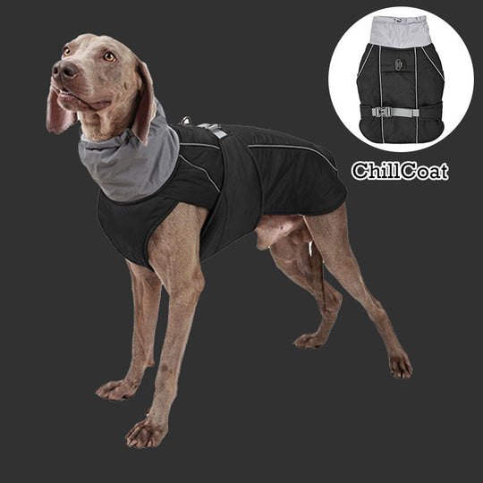 ChillCoat | Premium Winter Coat for Dogs - Keep Your Pet Warm and Stylish