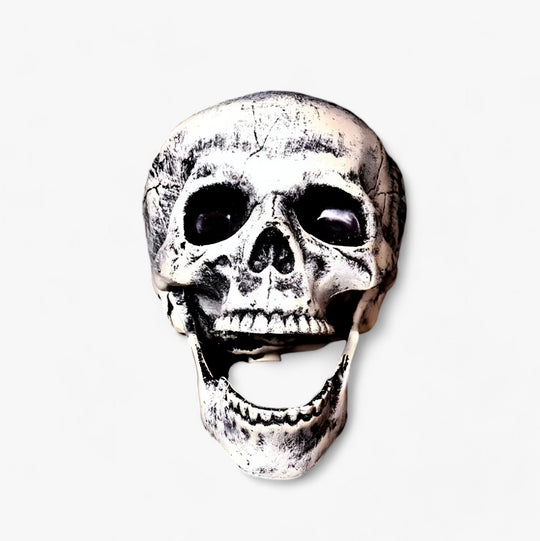 Edgar | Scary Halloween Decoration - Skeleton, Bones and Human Skull for Terrifying Party