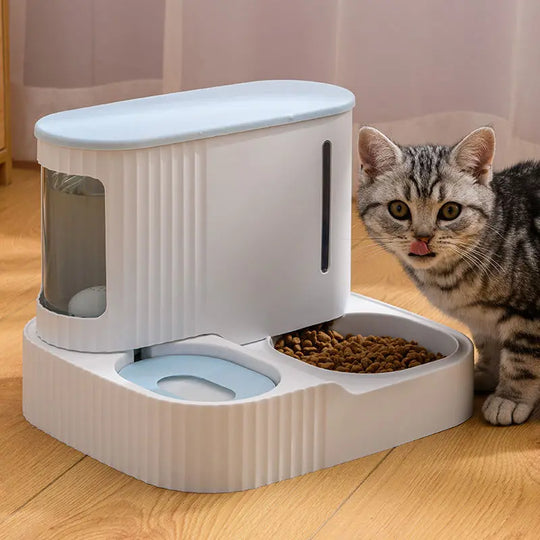 Pet Feeder - Practical Solution for Meals