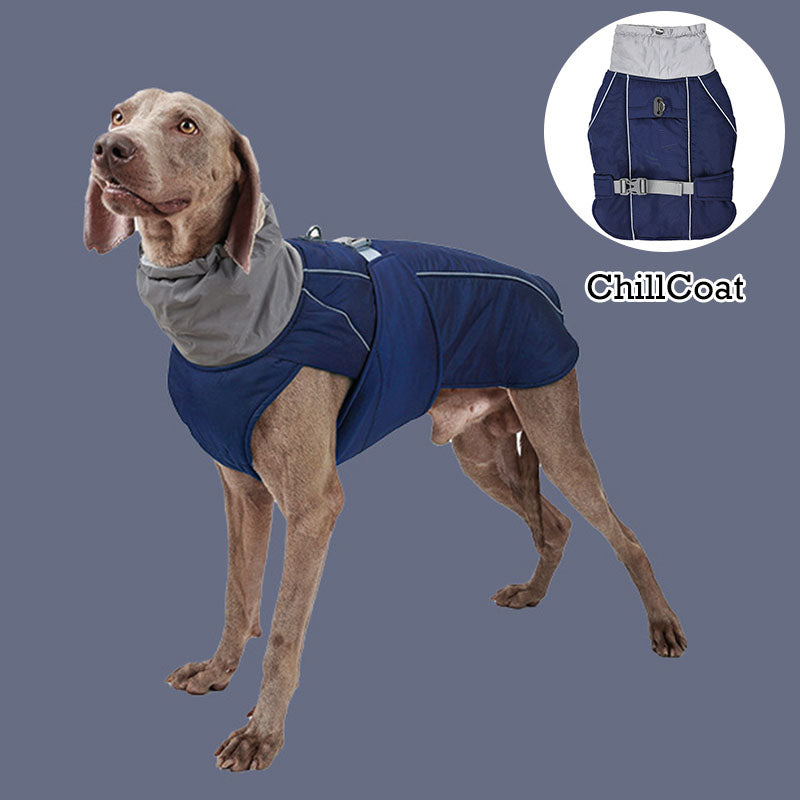 ChillCoat | Premium Winter Coat for Dogs - Keep Your Pet Warm and Stylish