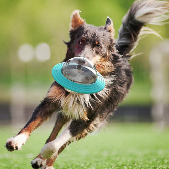 FurryTreat™ | Slow Feeder Toy - Fun with Flying Disc - Buy 1, Get 1 Free