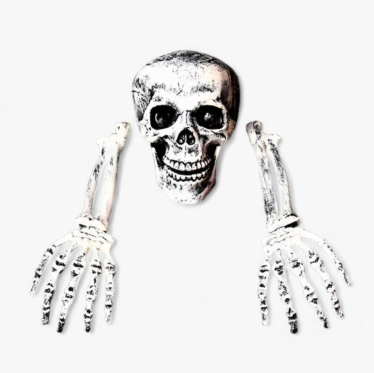 Edgar | Scary Halloween Decoration - Skeleton, Bones and Human Skull for Terrifying Party