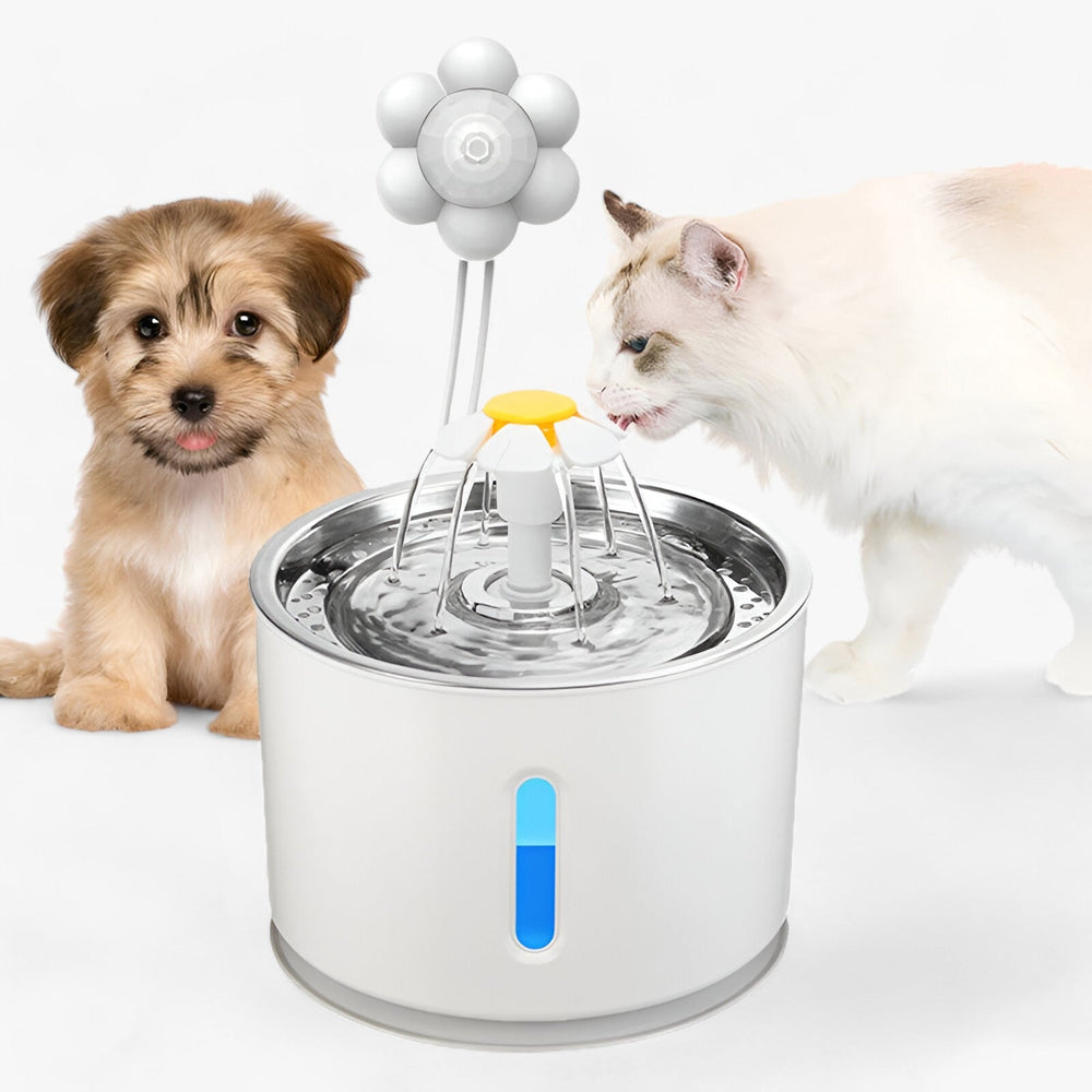 Whisky | Automatic water fountain - Fresh filtered water for pets