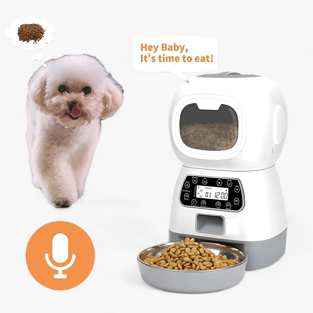 Animal Feeder | Intelligent Automatic Dispenser - Convenient Feeding