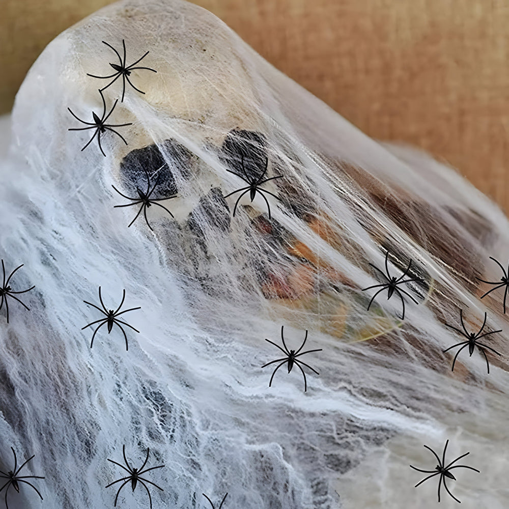 Webster | Halloween Spider Web - Stretchable Spider Web and Spiders for Sinister Party Accessories