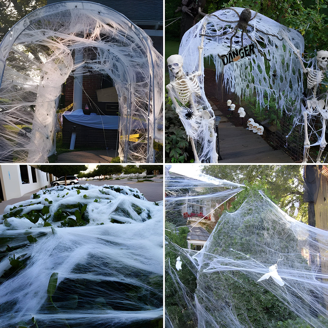 Webster | Halloween Spider Web - Stretchable Spider Web and Spiders for Sinister Party Accessories