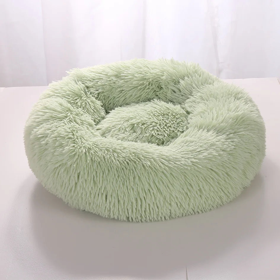 Round bed for dogs for ultimate comfort