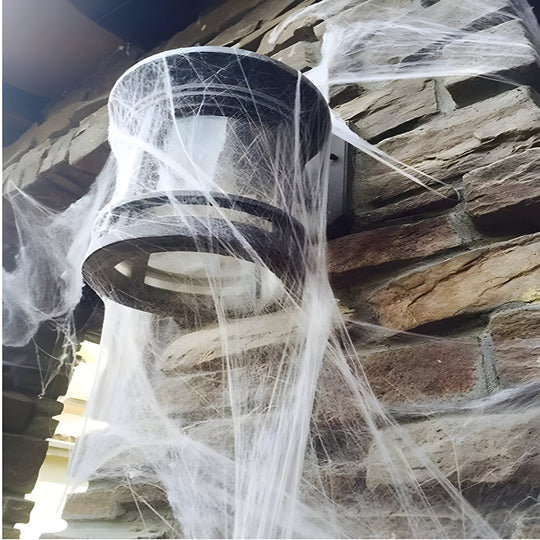 Webster | Halloween Spider Web - Stretchable Spider Web and Spiders for Sinister Party Accessories