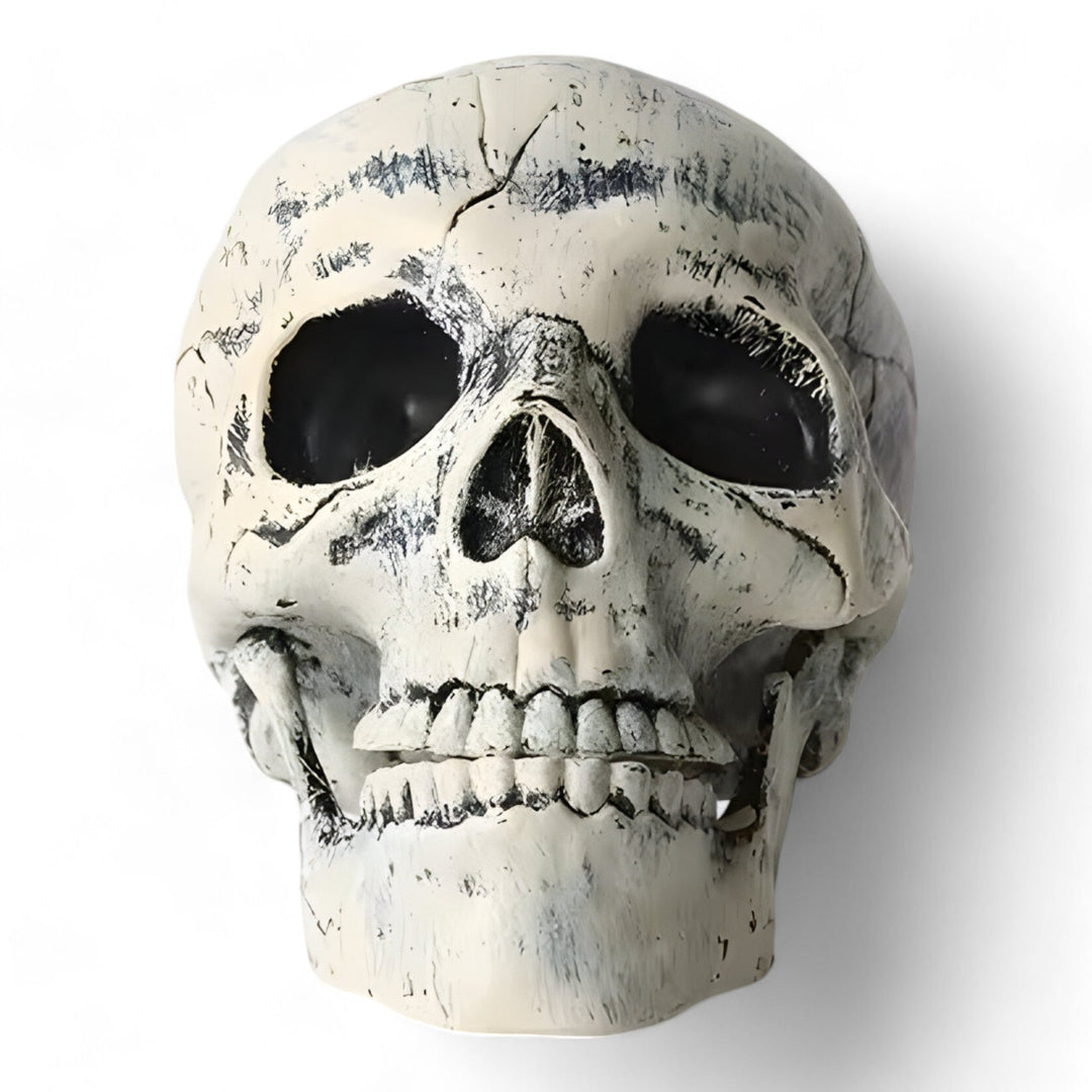 Gustave | Halloween Phantom Decoration - Plastic Skeleton and Skull Ornaments