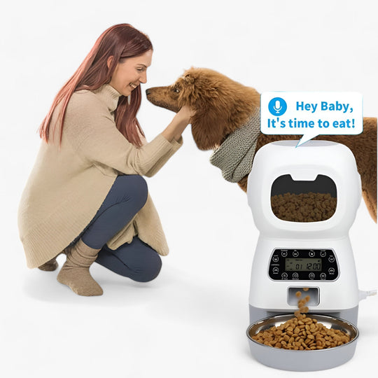 Animal Feeder | Intelligent Automatic Dispenser - Convenient Feeding