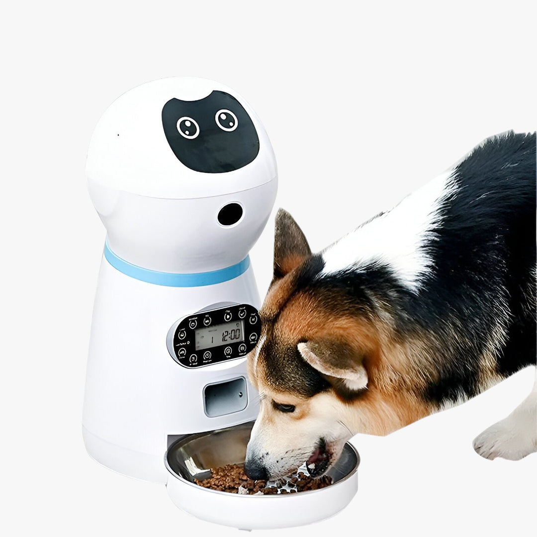 Animal Feeder | Intelligent Automatic Dispenser - Convenient Feeding