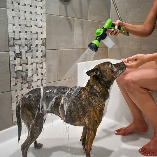 HydroPet™ | Douche: High Pressure, Adjustable and Foaming for an Easy Dog Bath