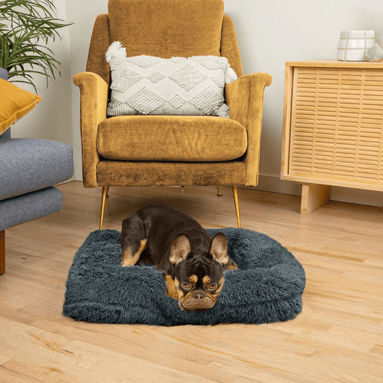 Dream Cushion for Dogs - DoggyDream™