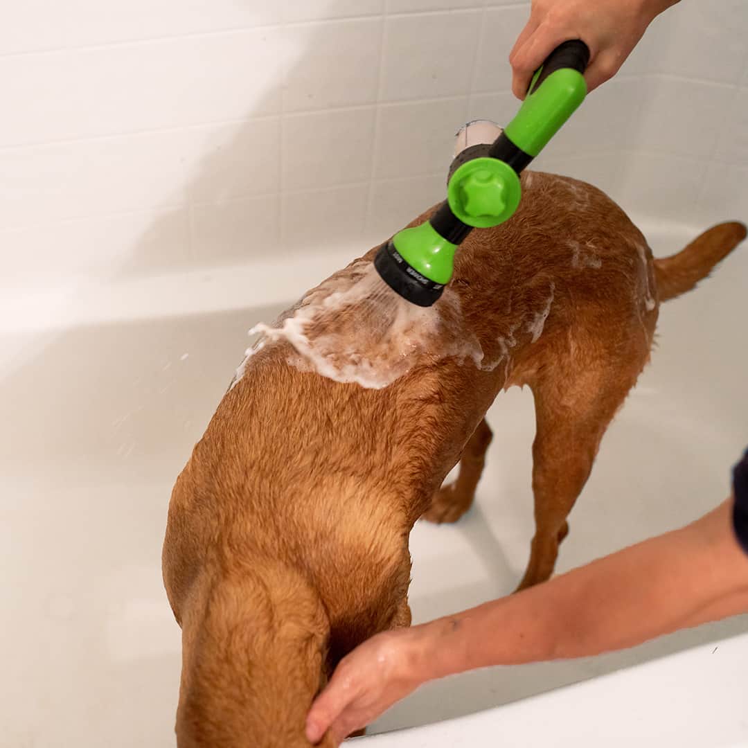 HydroPet™ | Douche: High Pressure, Adjustable and Foaming for an Easy Dog Bath