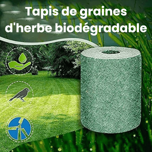 Biodegradable grass seed roll