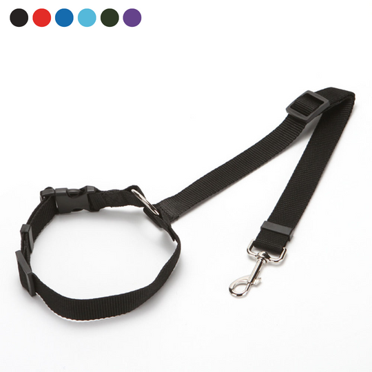 Fionalove - Dog Safety Leash | Dog Leash - Reliable and Secure