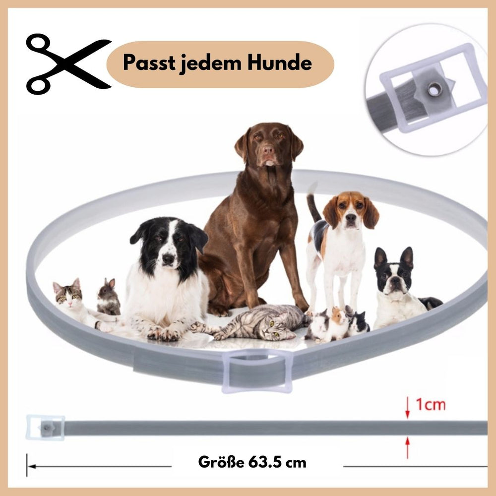 Pawfect | Anti-Flea and Anti-Tick Collar - Complete Protection for a Worry-Free Life