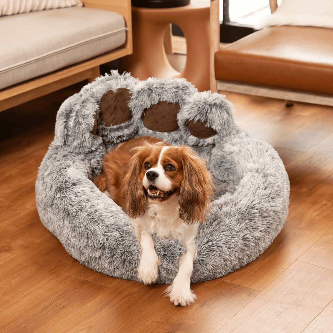 CozyPaw™ | Relaxing Bed for Dogs - Ultimate Comfort for Restorative Sleep