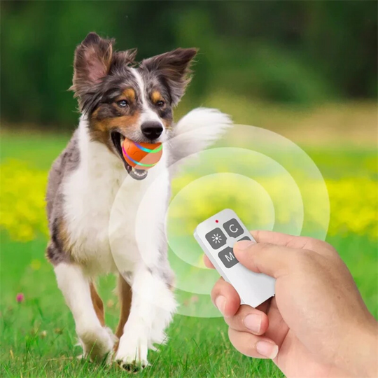 ActiveBall | Toy for Pets - Keeps Pets Stimulated