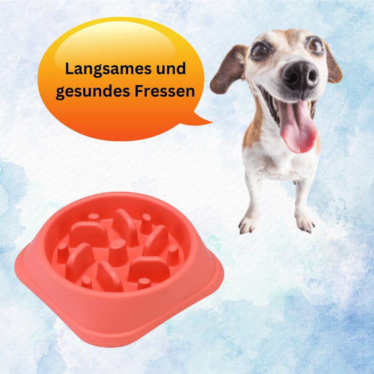 Anti-Gulping Bowl | Dog Bowl - Slows Down Eating